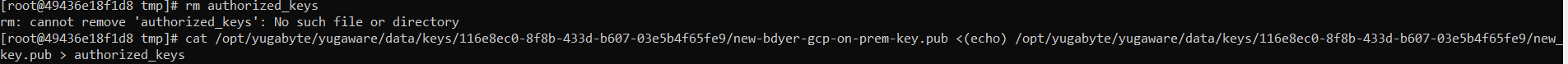 cat_auth_keys.png